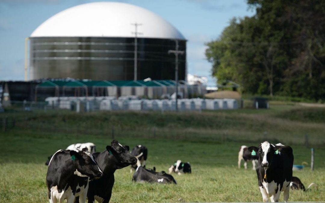 Anaerobic digestion industry to set out plans for UK to establish itself as global leader